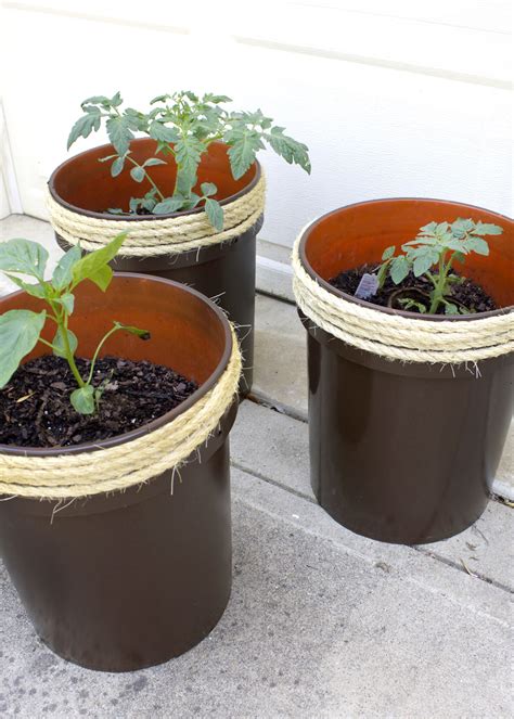 How To Make A Planter From A 5 Gallon Bucket — Tag And Tibby Design