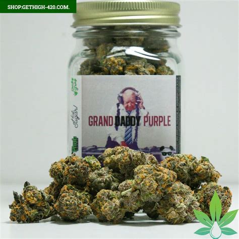 Grand Daddy Purple Strain Weed 4all Purpose Online Store