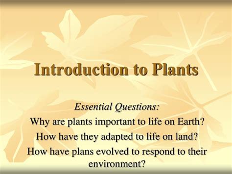 Ppt Introduction To Plants Powerpoint Presentation Id1776690