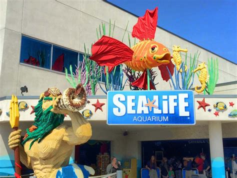 Sea Life Aquarium At Legoland California Resort Legoland Legoland