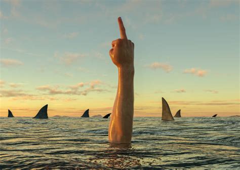Middle Finger Stock Photos Pictures And Royalty Free Images Istock