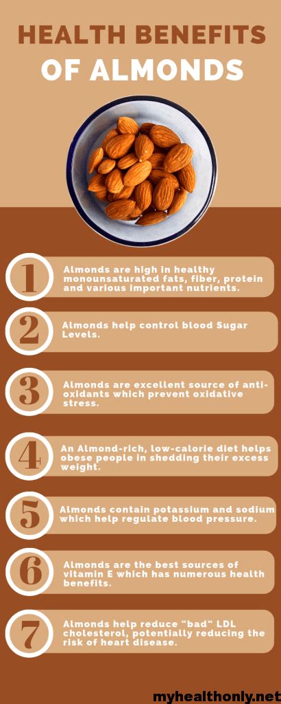 28 Special Health Benefits Of Almonds You Must To Know My Health Only