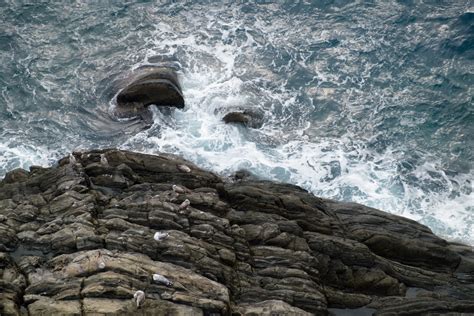 Free Images Sea Coast Water Rock Ocean Shore Cliff Rapid Terrain Geology Cape Wind
