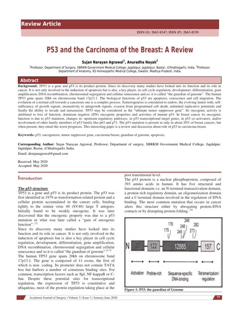 (PDF) P53 and the Carcinoma of the Breast: A Review