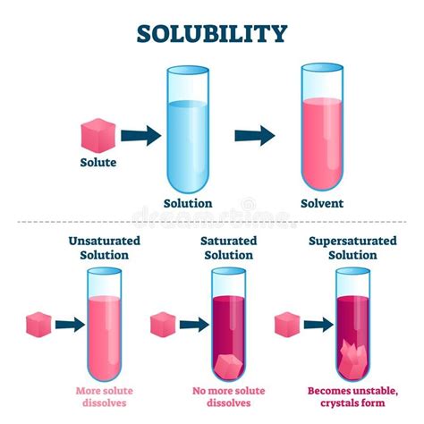 Solubility And Solutions Classnotesng