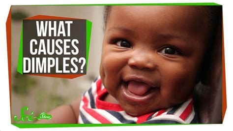 A dimple (also known as a gelasin)1 is a small natural indentation in the flesh on a part of the human body, most notably in the cheek or on the chin. What Causes Dimples? - YouTube