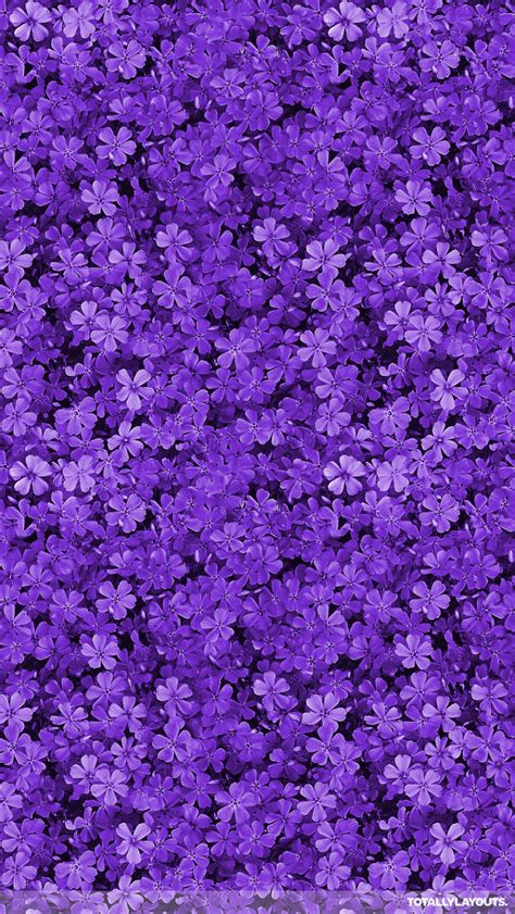 25 Unique Purple Floral Background