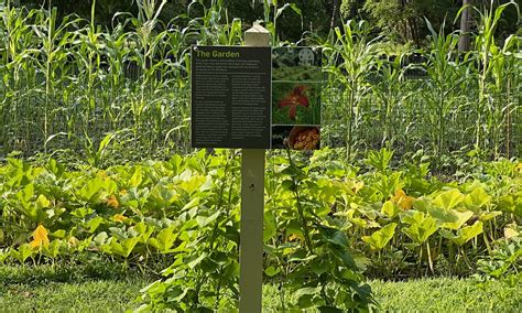 The Thoreau Garden Freedoms Way National Heritage Area