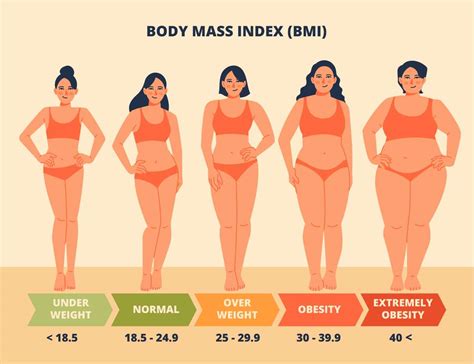 Bmi Calculator Discover Your Ideal Weight