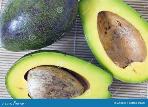 Avocado Stock Photo Image Of Nourishing Green Nutrition 5763636