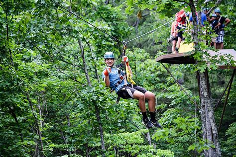 Do you revel in the feeling of wind whipping. 13 Facts About The Zipline Industry You May Not Have Known ...