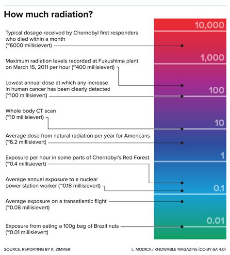 Radiation Exposure A Quick Guide To What Each Level Means 51 Off