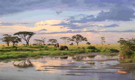 Serengeti Climate The Climate In Serengeti National Park Best Time