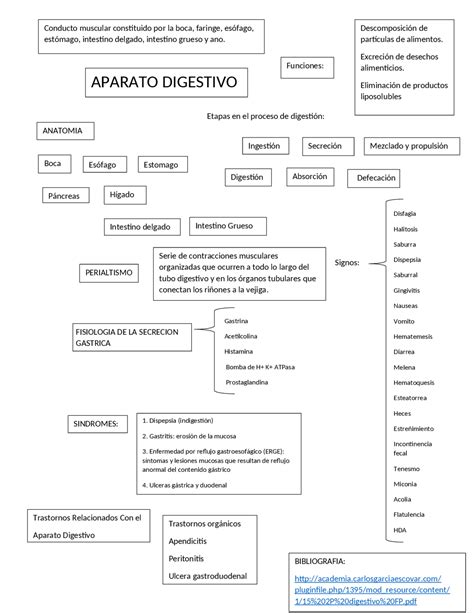 Mapa Conceptual Aparato Digestivo Docsity