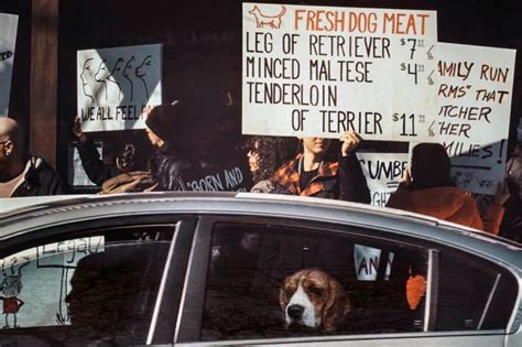 Vegan Protesters Pretend To Sell Dog Meat Outside Toronto Butcher Shop