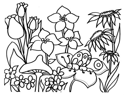 Nature Coloring Pages Free Download On Clipartmag