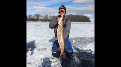 Monster Northern Pike Caught Ice Fishing On Lake Mendota Youtube