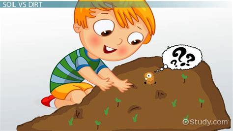 Soil Science Lesson For Kids Video And Lesson Transcript