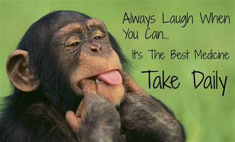 Always Laugh When You Can