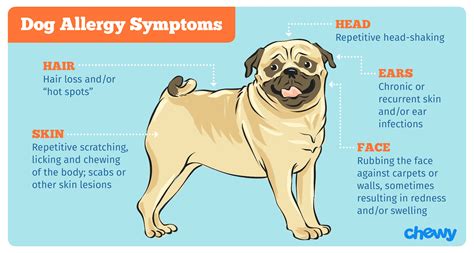It's very dependent on the individual dog, says shmalberg. Dog Allergies: Causes, Symptoms and Treatment
