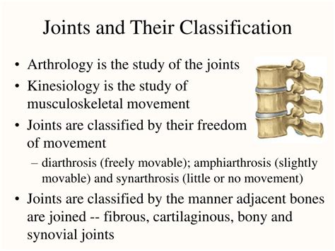 Ppt Chapter 9 Joints Powerpoint Presentation Free Download Id517446