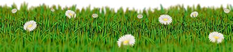 Clipart Meadow