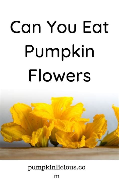 Unlike people and dogs, protein is the main energy source in cats' diets. Are Pumpkin Flowers Edible? | Pumpkin flower, Pumpkin ...