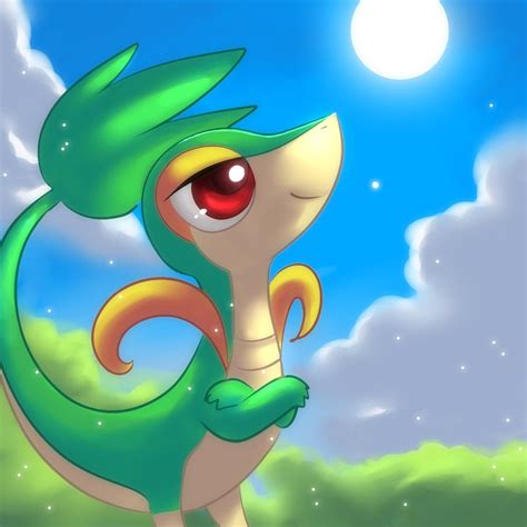 1000 Images About Snivy On Pinterest Ash Leis And Posts