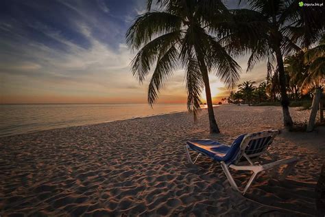 Zdjęcie Ocean Plaża Palmy Wschód Słońca Tropiki