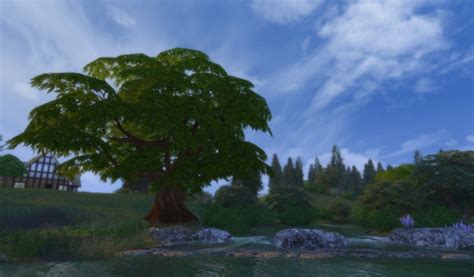 Tree Sims 4 Updates Best Ts4 Cc Downloads