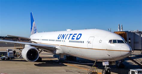 United Airlines Temporarily Suspends Cargo Travel For Pets Huffpost