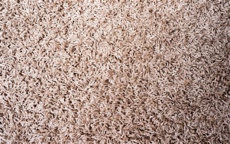 Premium Photo Seamless Beige Carpet Rug Texture Background From Above