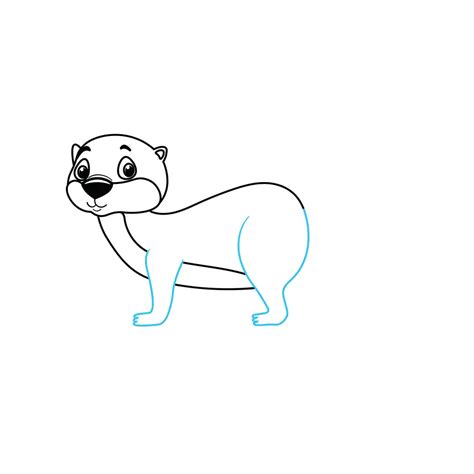 How To Draw An Otter Step By Step
