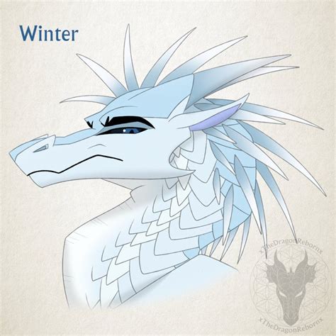 2017 Day 7 Winter The Icewing Winter Was Pretty Cool Headshot A Day