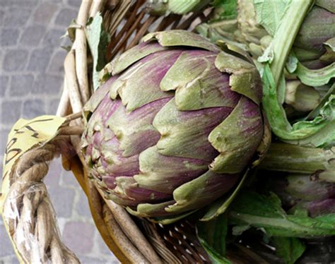 'imperial star' likes full to sun to partial shade. Artichoke 'Carciofo Romanesco' - Buy Online at Annie's Annuals