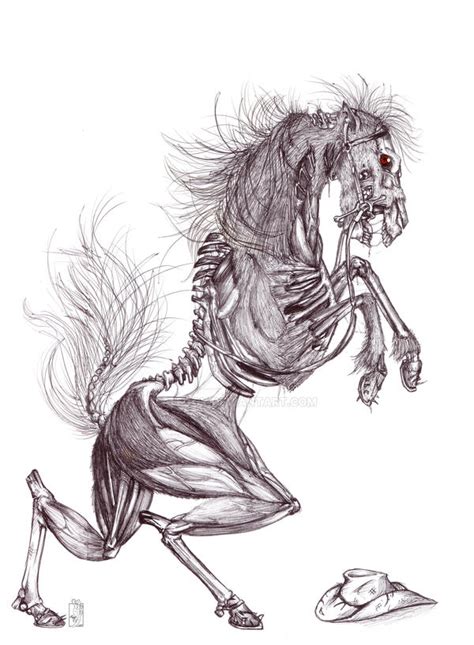 Skeleton Horse By Teggy On Deviantart