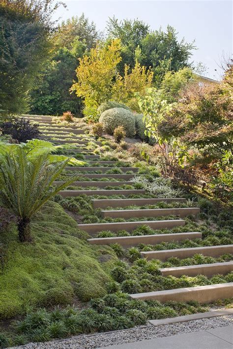 1000 Images About Landscaping A Slope On Pinterest Terraced Garden