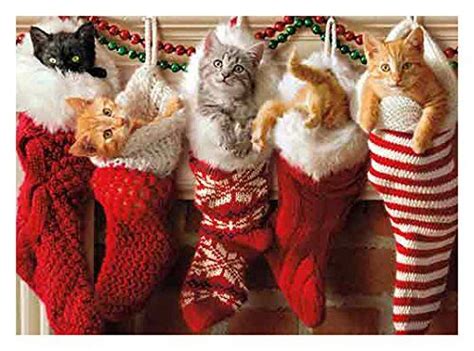 These funny christmas greeting cards are not only eye candy. 10 Cute and Funny Cat Christmas Cards • Absolute Christmas