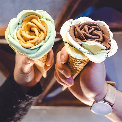 Have you ever been confused by gelato and ice cream, wondering if they are the same? As flores de sorvete da I-Creamy Artisan Gelato | Gourmetice