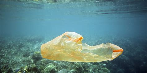 We Can Solve The Ocean Plastic Problem Huffpost