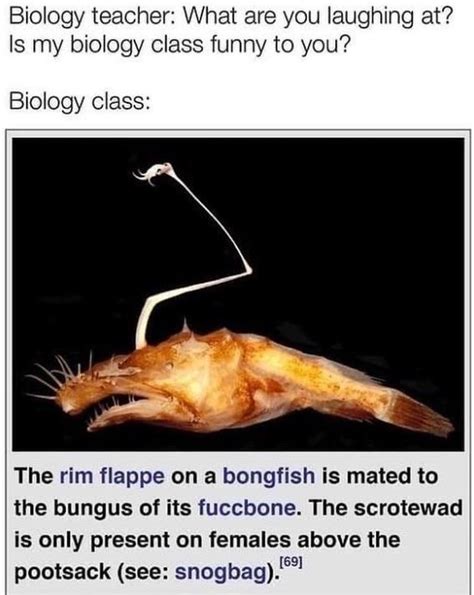 Fifteen Marine Biology Memes For Science Y People Biology Memes
