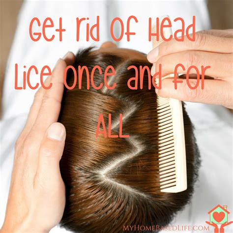 How To Get Rid Of Lice And Nits Naturally Tutorial Pics