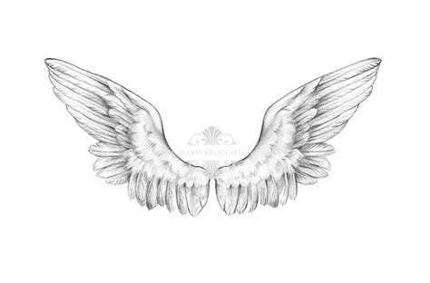 10x8 Angel Wings Art Print Pencil Drawing Anne Marie Broughton Art On