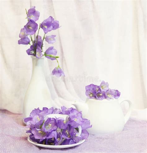 Still Life With Tea Cup And Violet Bell Flowers Stock Photo Image Of