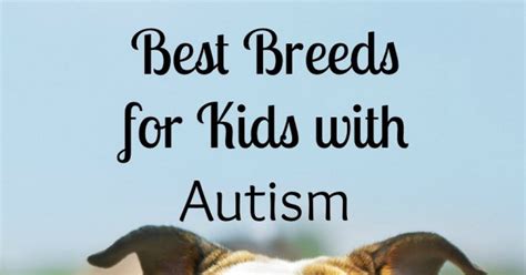 4 Best Dogs For Kids With Autism Dogvills