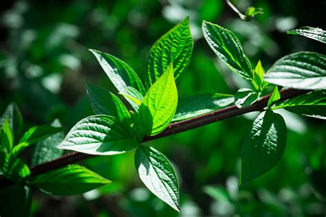 4k ultra hd phone wallpapers download free background images collection, high quality beautiful 4k wallpapers for your mobile phone. 13++ Nature Wallpaper 4k Zip - Venera Wallpaper