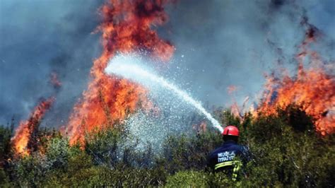 Orman Yangınları Ile Ilgili Afiş Afişler TurkMSIC Türk Tıp