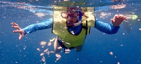 Tipping Your Snorkeling Guide In Grand Cayman Desertdivers