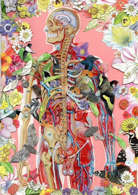 Collage Anatomy Art Collage Art Art Prints