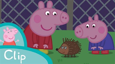 Peppa Pig Episodes Outside At Night Clip Peppa Pig Official